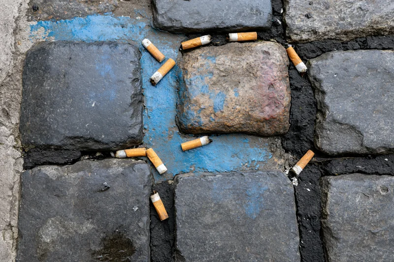 Discarded cigarette butts scattered across wet granite cobbles