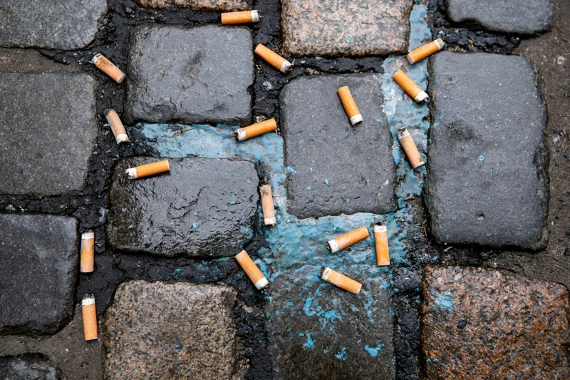 Discarded cigarette butts scattered across wet dark granite cobblestone pavement