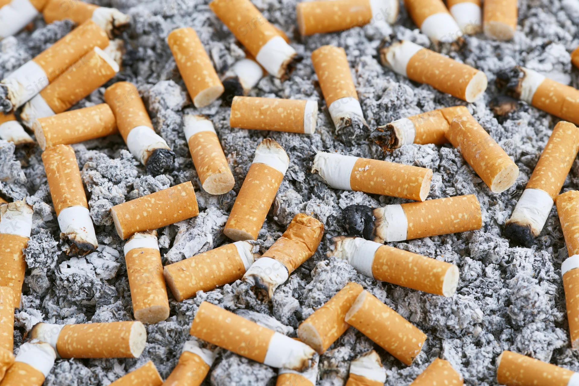 Cigarette butts scattered in grey ash, extreme closeup view