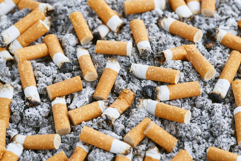 Cigarette butts scattered in grey ash, extreme closeup view