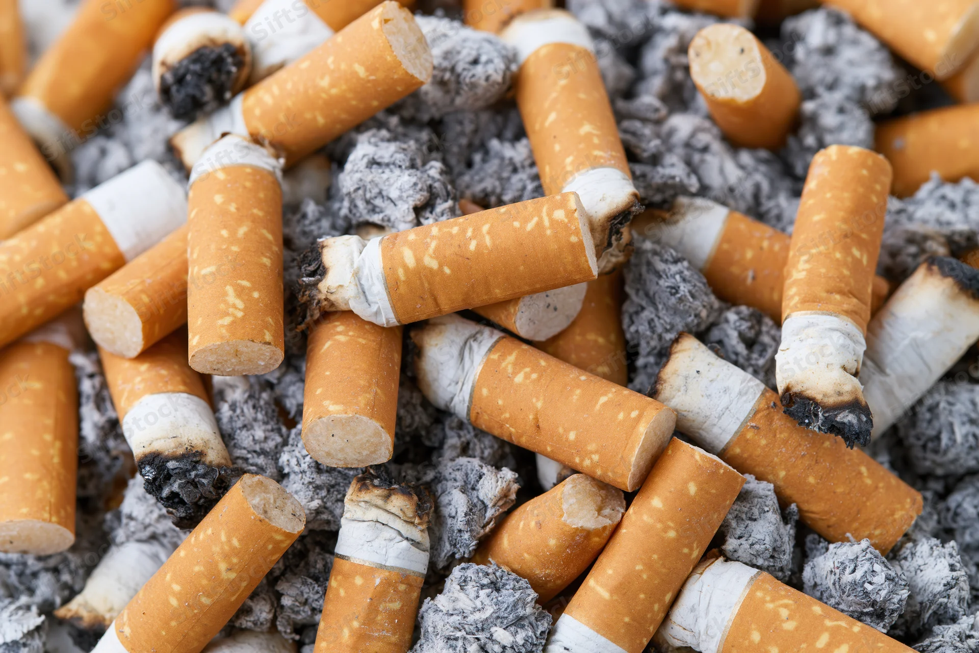 Closeup of dozens of used cigarette butts piled in gray ash