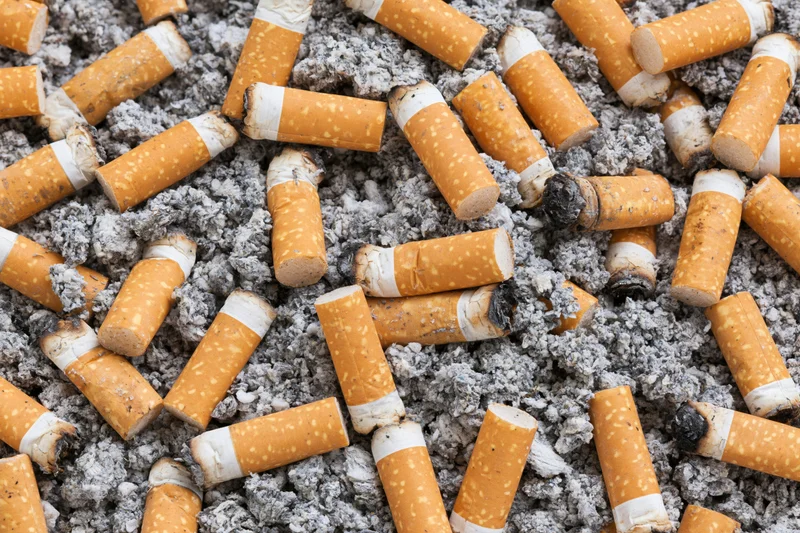Cigarette butts scattered in grey ash, close-up view
