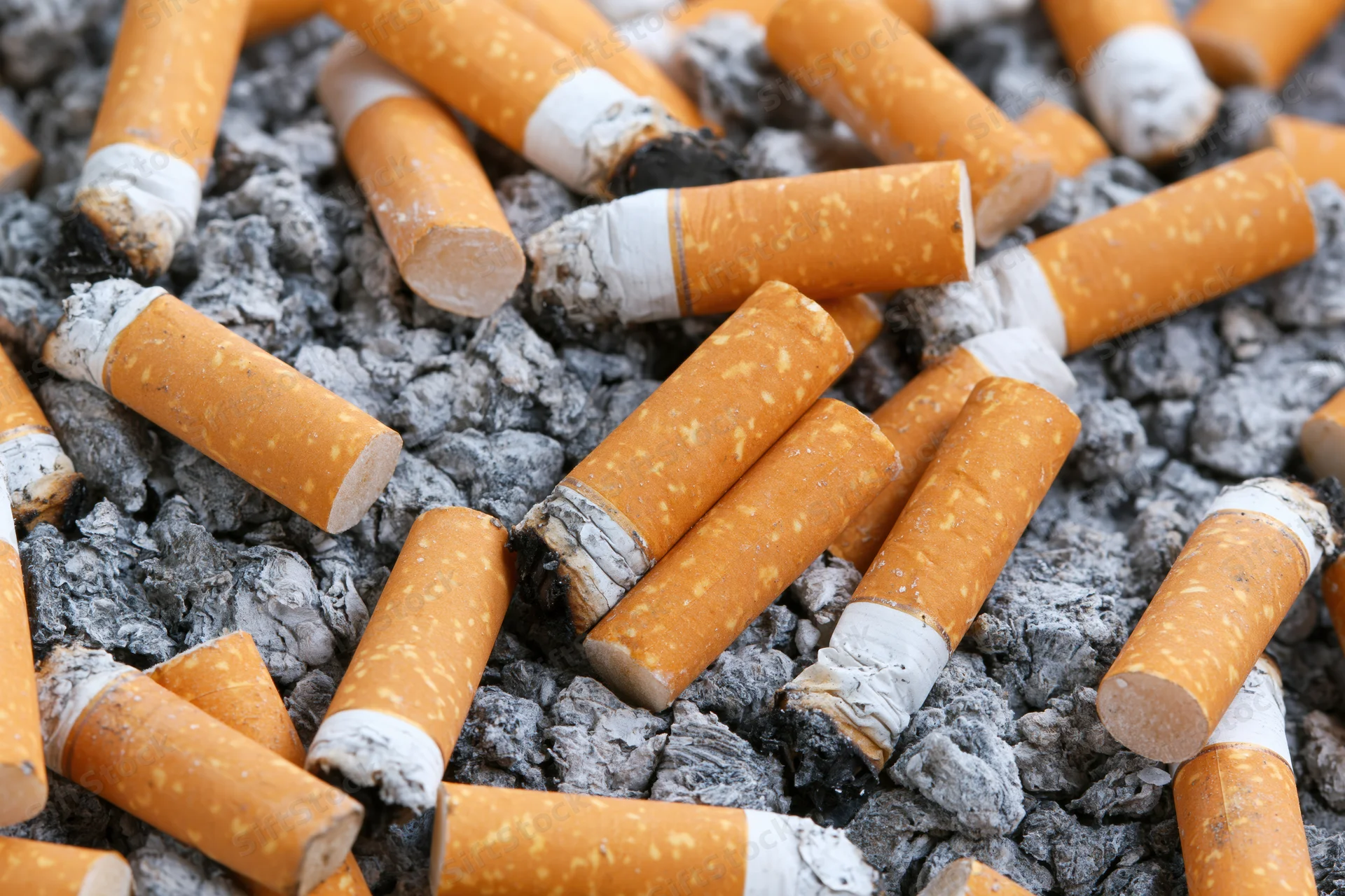 Closeup of dozens of used cigarette butts piled in grey ash