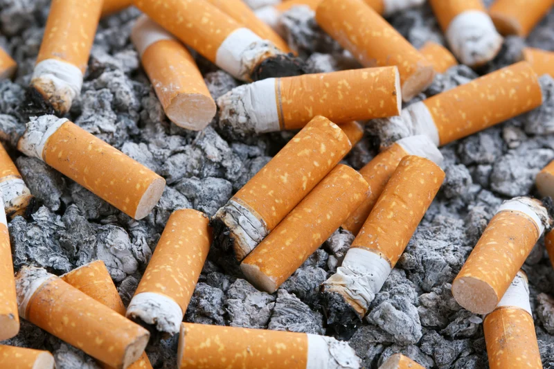 Closeup of dozens of used cigarette butts piled in grey ash
