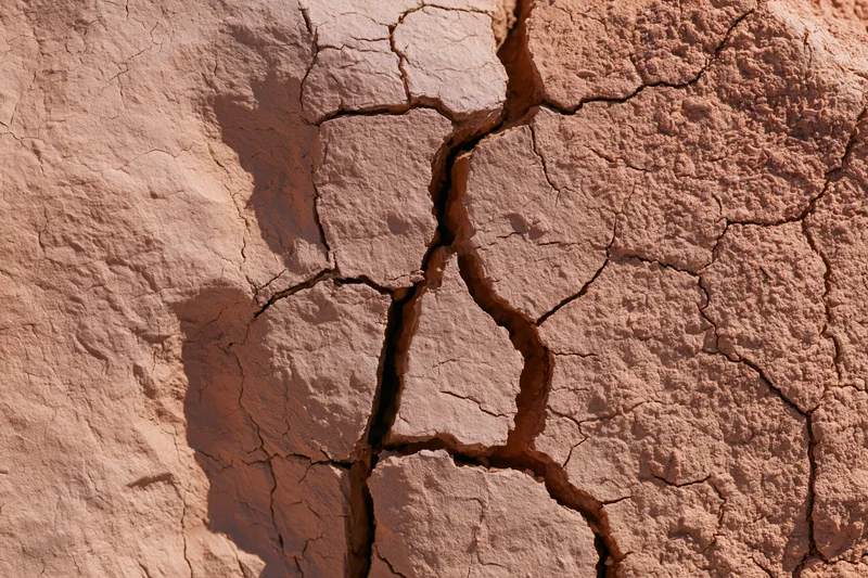 Cracked dry earth surface under bright sunlight
