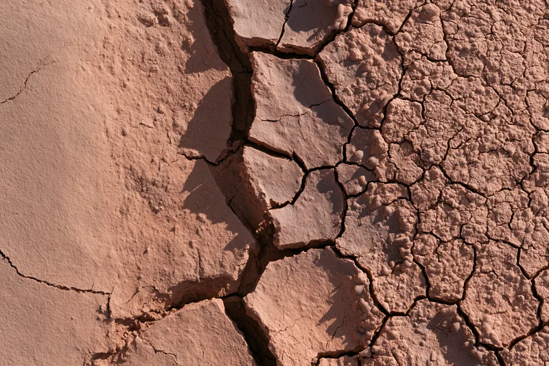 Close-up of cracked dry earth surface under sunlight