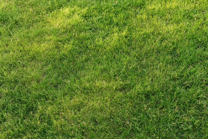Freshly mowed short grass lawn filling the frame