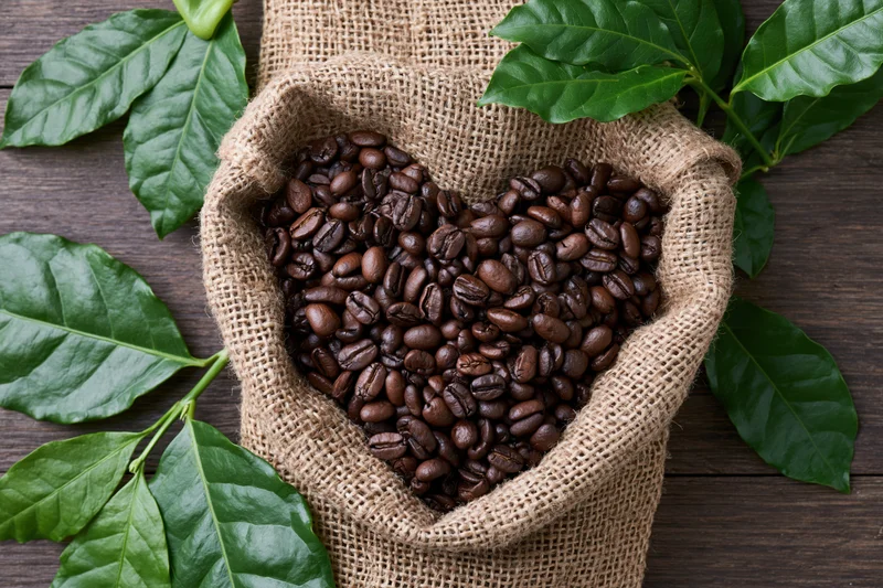 Dark roasted coffee beans arranged in heart shape in burlap sack on wooden table with green coffee plant leaves