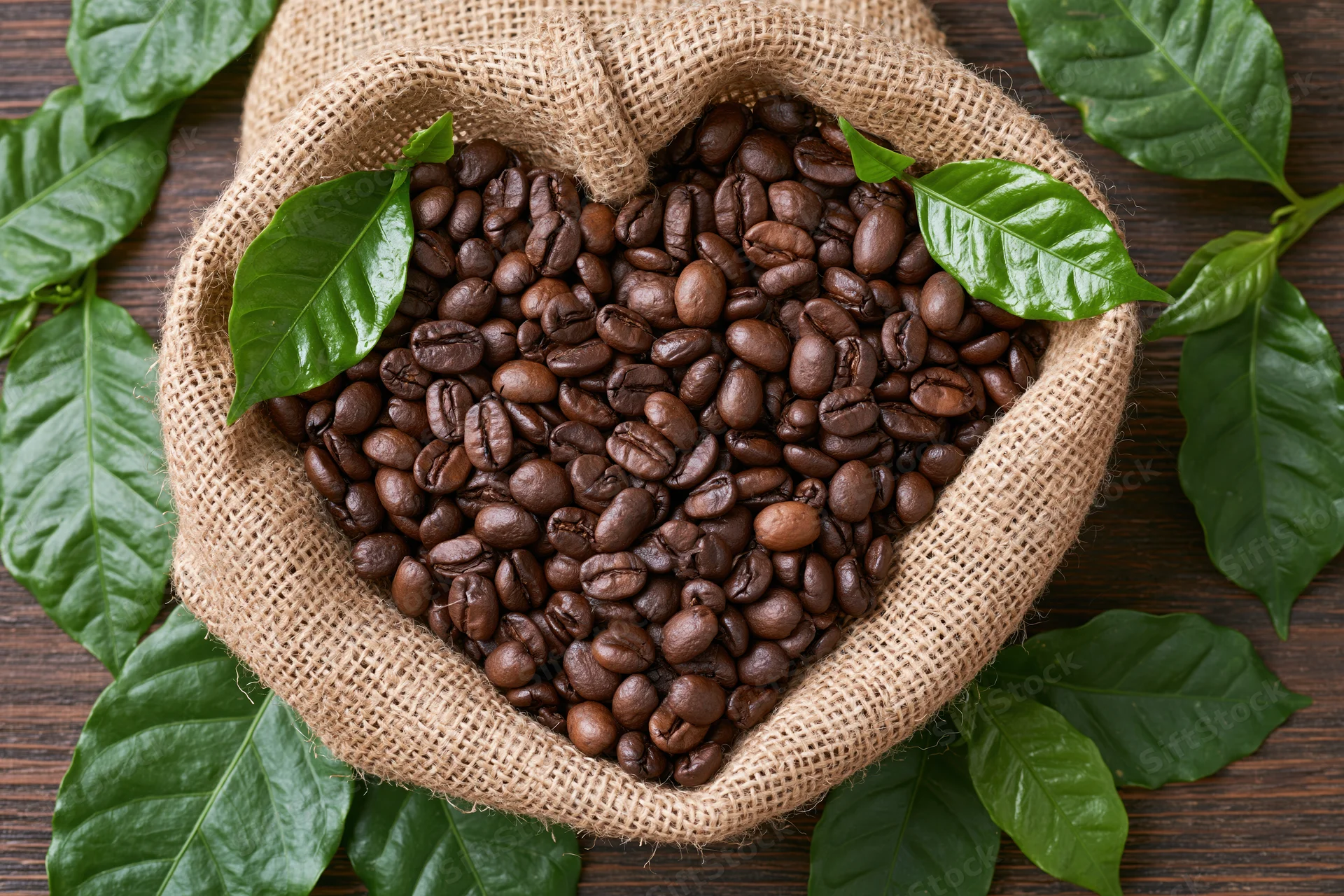 Dark roasted coffee beans arranged in heart shape in burlap sack surrounded by green coffee leaves on wooden surface