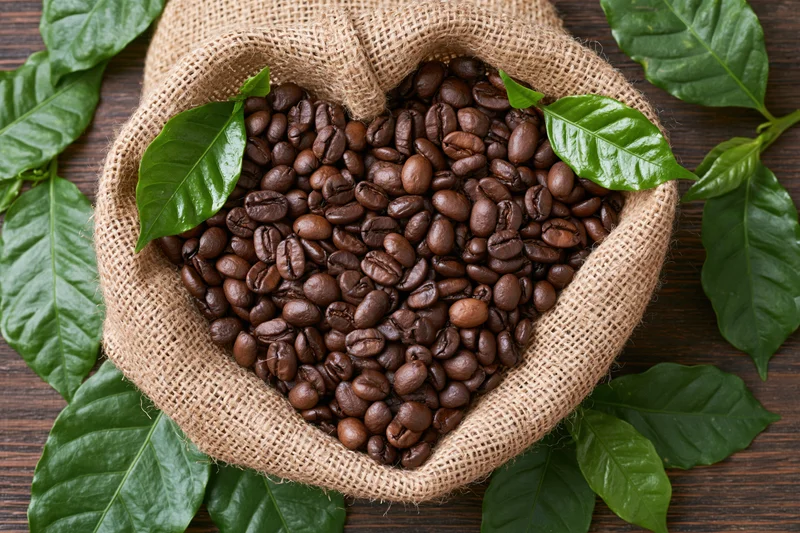 Dark roasted coffee beans arranged in heart shape in burlap sack surrounded by green coffee leaves on wooden surface
