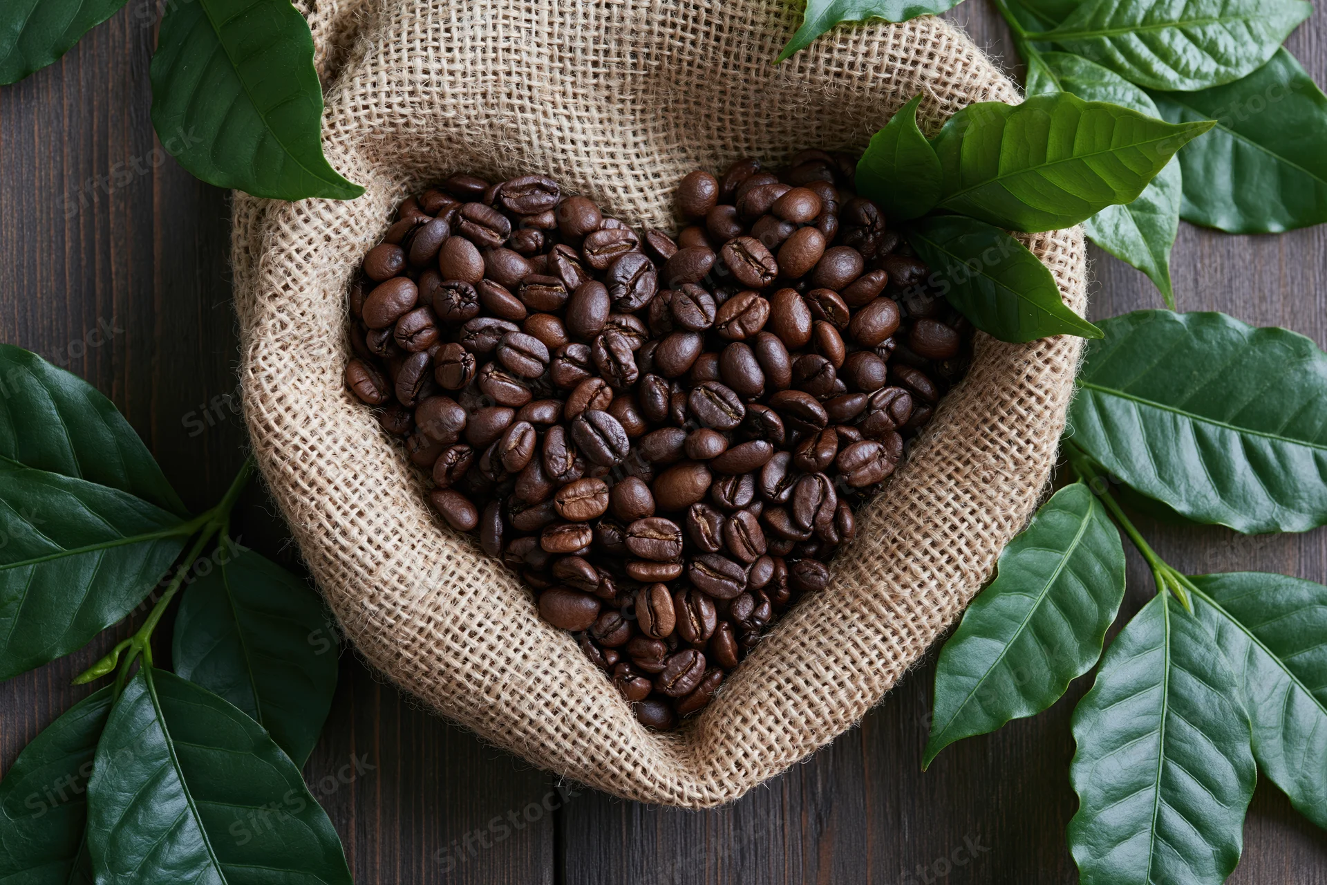 Dark roasted coffee beans arranged in heart shape in burlap sack on wooden surface with green coffee leaves