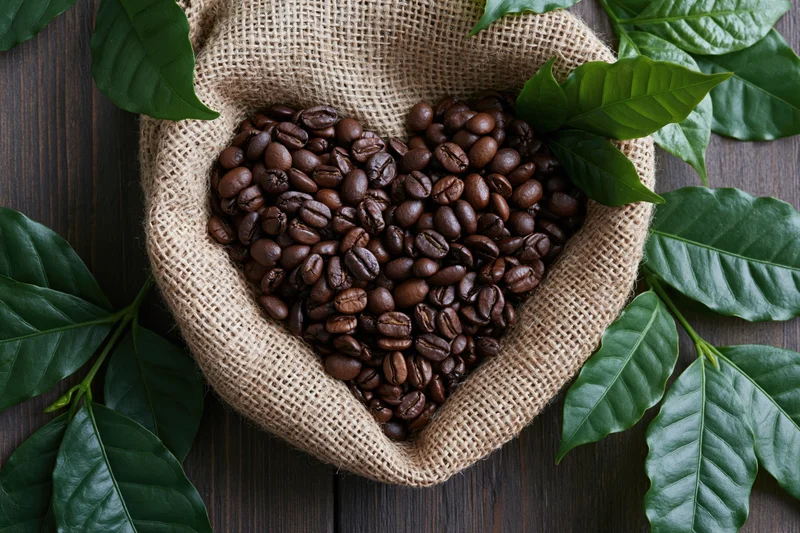 Dark roasted coffee beans arranged in heart shape in burlap sack on wooden surface with green coffee leaves