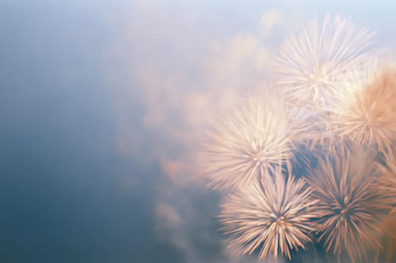 Fireworks bursting in the night sky with soft haze and golden light