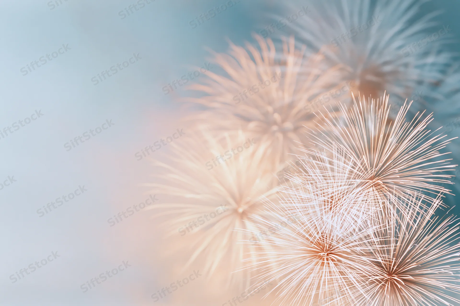 Fireworks bursting softly in the hazy night sky with copyspace on the left