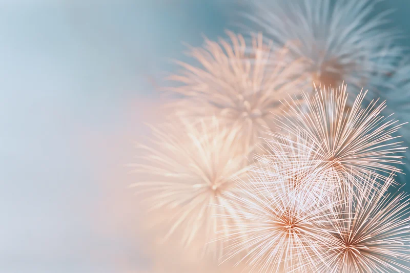 Fireworks bursting softly in the hazy night sky with copyspace on the left