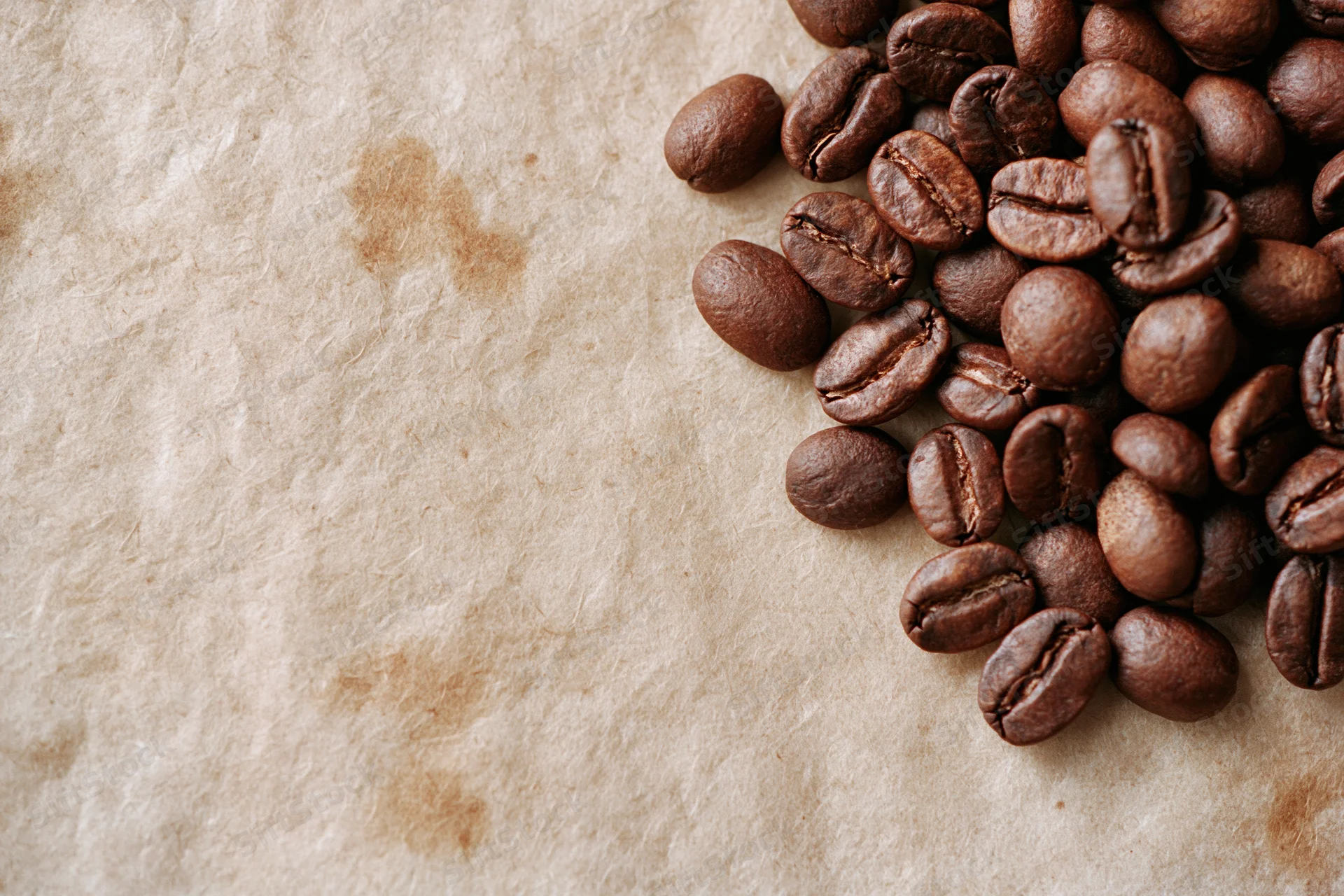 Roasted coffee beans scattered along the right edge of textured parchment paper