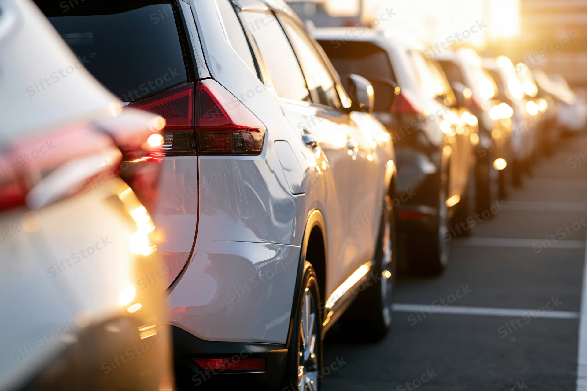 Row of white suvs parked in a dealership lot at golden hour