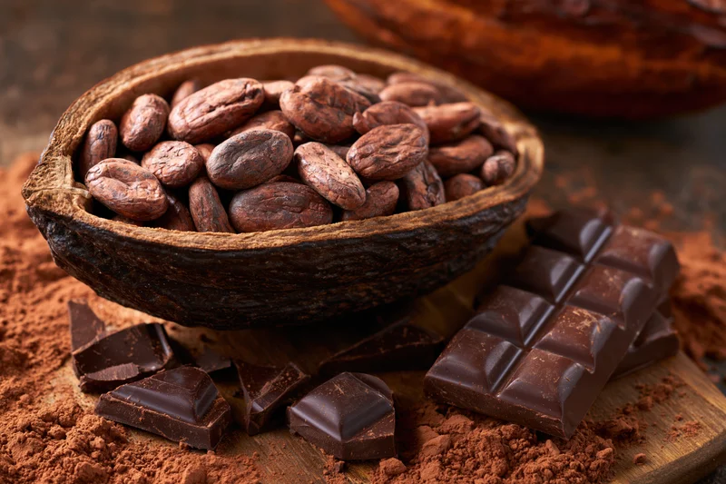 Split cacao pod filled with raw cocoa beans resting on wooden surface with chocolate pieces and cocoa powder around