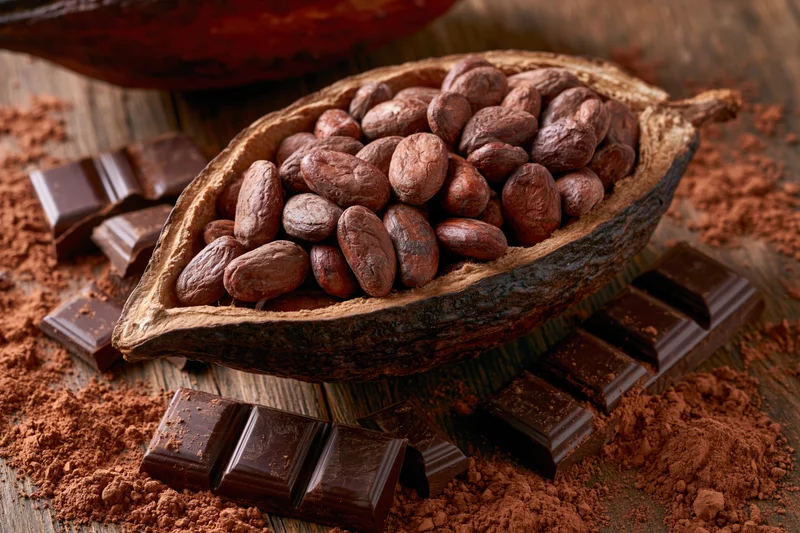 Split cacao pod filled with raw cocoa beans surrounded by chocolate bars and cocoa powder on wooden surface