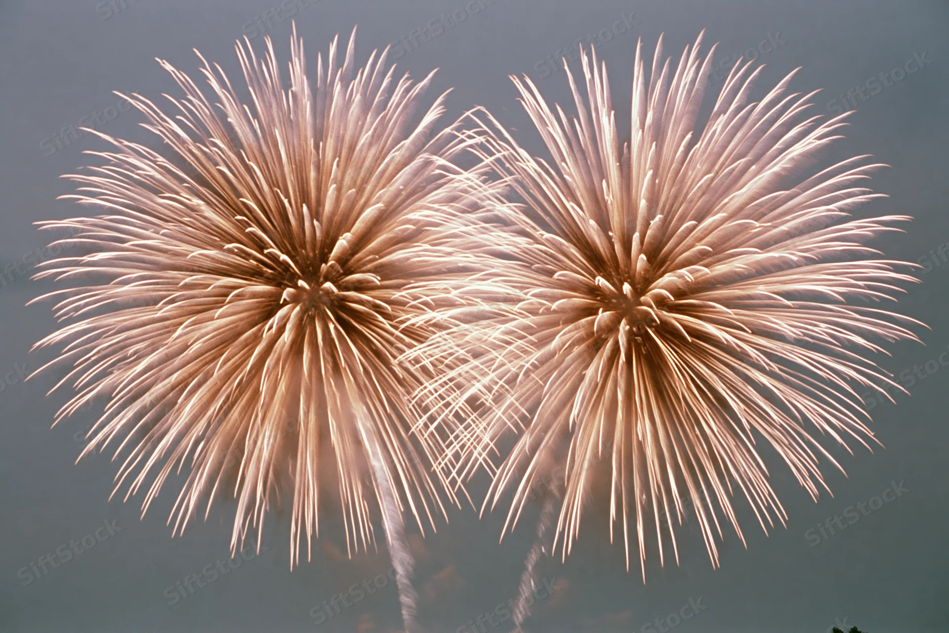 Two large chrysanthemum-style fireworks bursting in the night sky