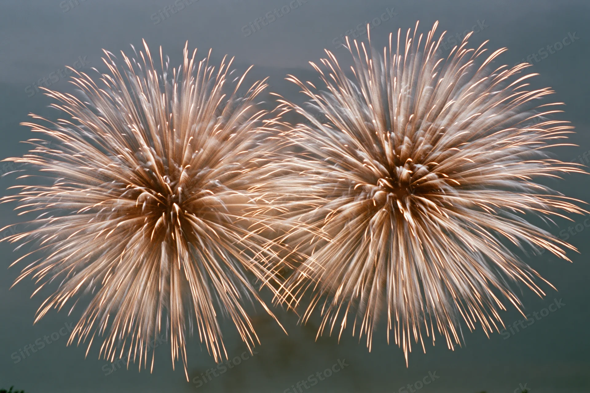 Two large chrysanthemum-style fireworks bursting in the night sky