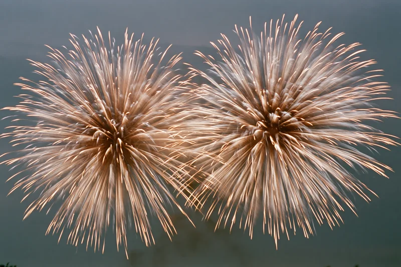 Two large chrysanthemum-style fireworks bursting in the night sky