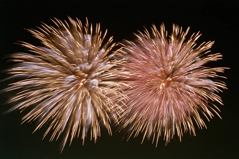 Two large chrysanthemum-style fireworks bursting in the night sky