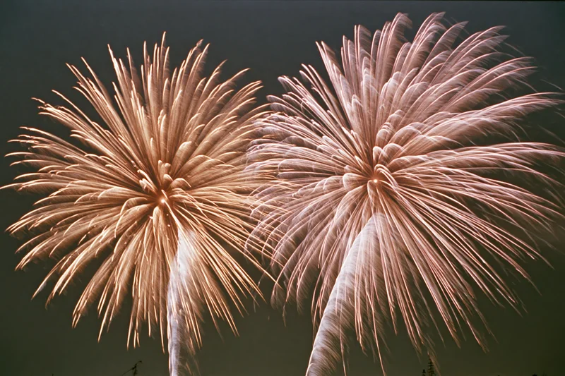 Two large chrysanthemum-style fireworks bursting in the night sky during a celebration event