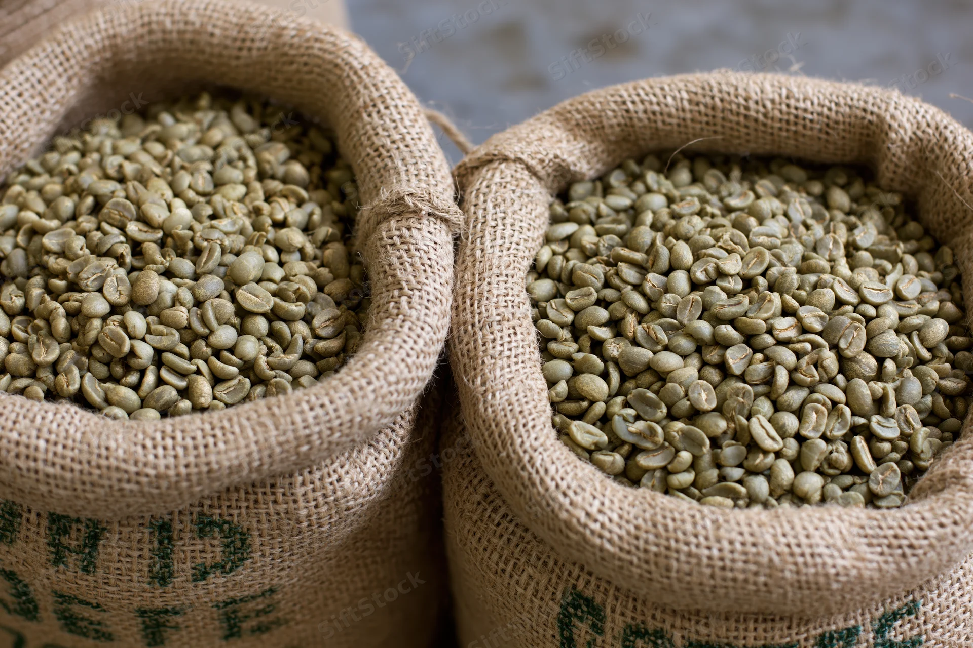 Two open burlap sacks filled with unroasted green coffee beans