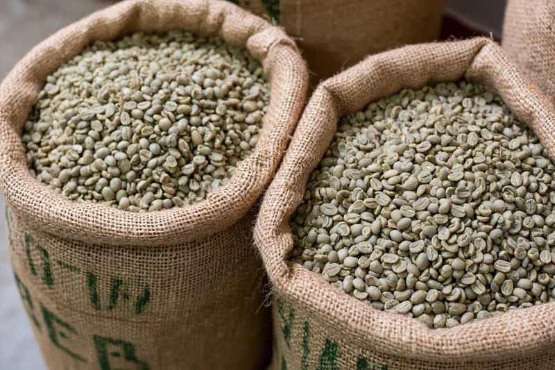 Open burlap sacks filled with unroasted green coffee beans