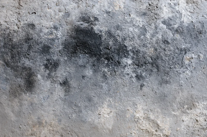 Weathered concrete wall surface filling the frame