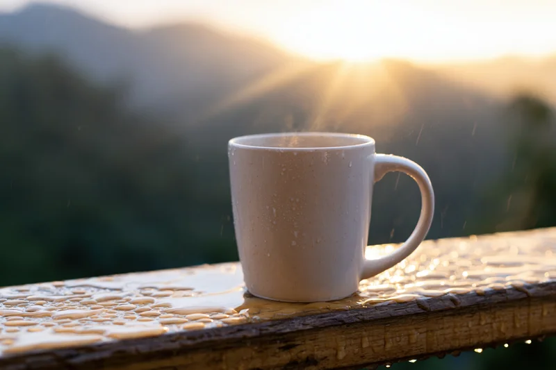 White ceramic coffee mug steaming on wet wooden railing at sunrise overlooking mountains and forest