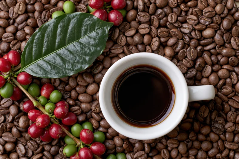 White ceramic cup of black coffee on roasted beans with coffee cherries and leaf, top-down view