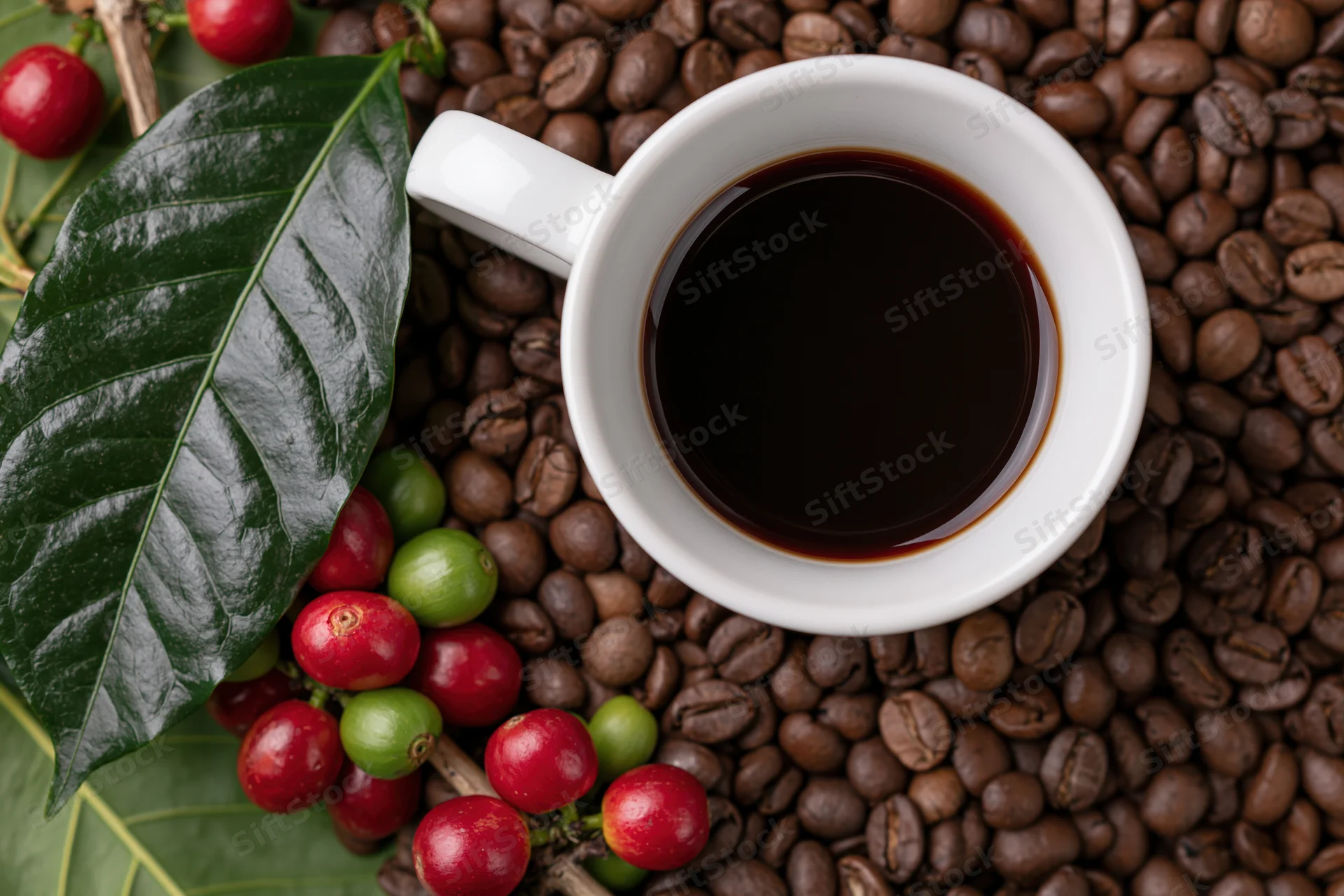 White ceramic cup of black coffee viewed from above on a bed of roasted coffee beans with fresh green leaves and red cherries