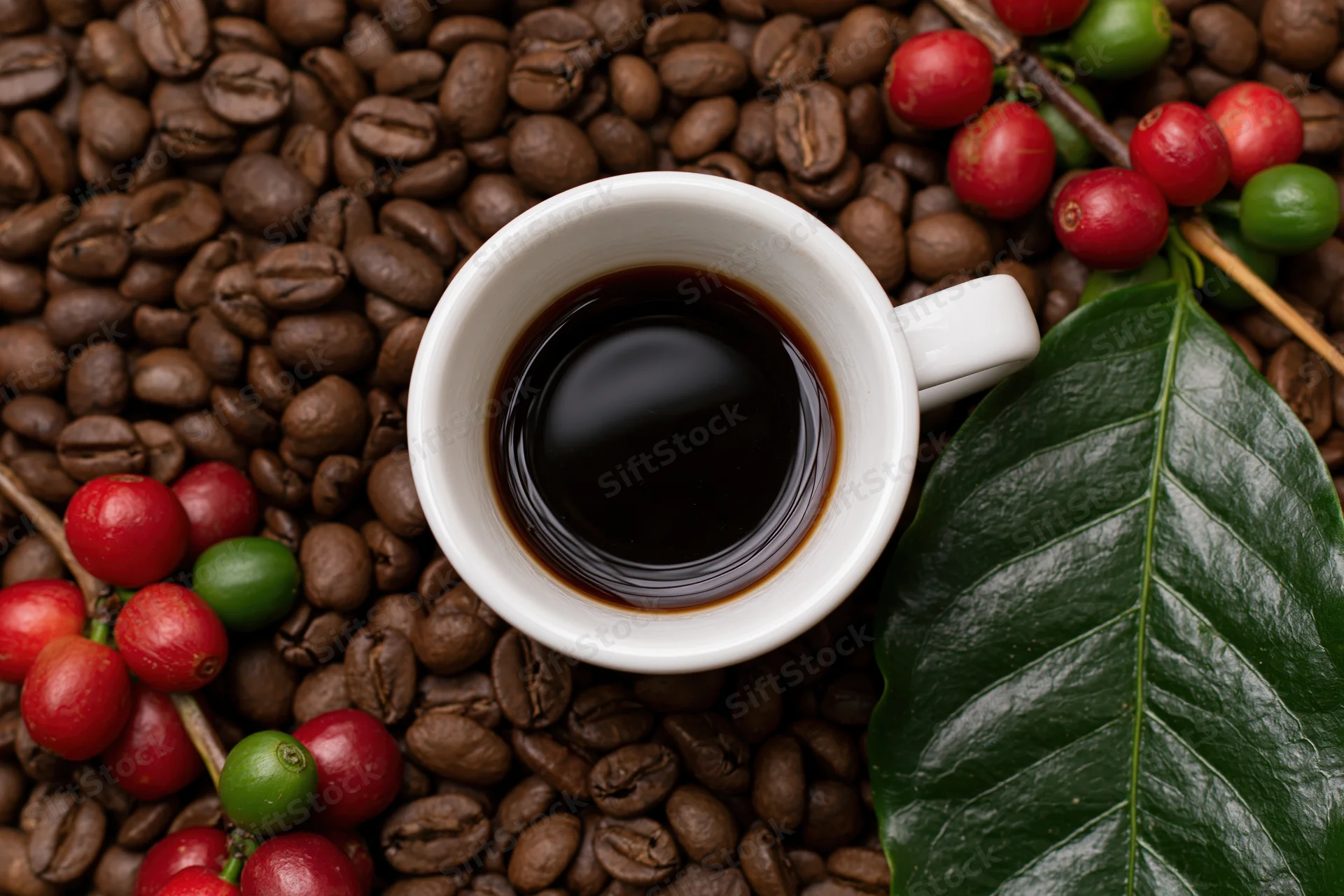 White ceramic cup of black coffee on a bed of roasted coffee beans with fresh cherries and a leaf, overhead view