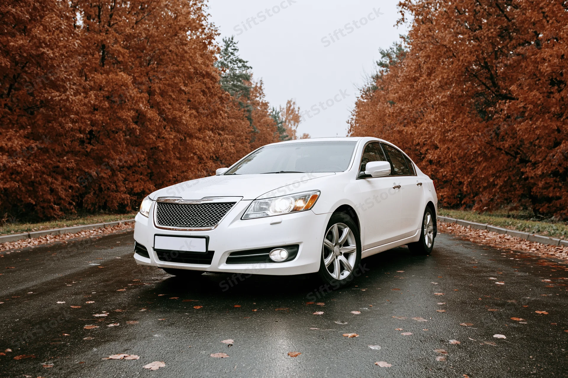 White luxury sedan parked on wet asphalt road with headlights on surrounded by autumn trees
