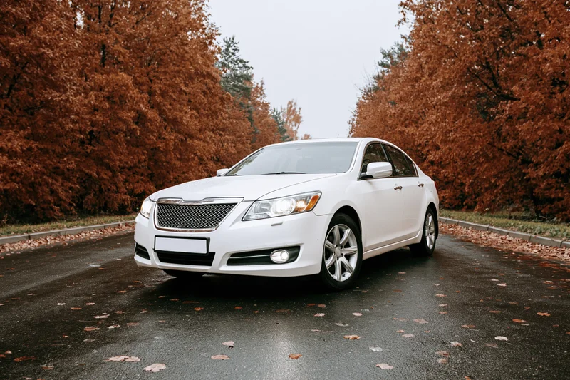 White luxury sedan parked on wet asphalt road with headlights on surrounded by autumn trees