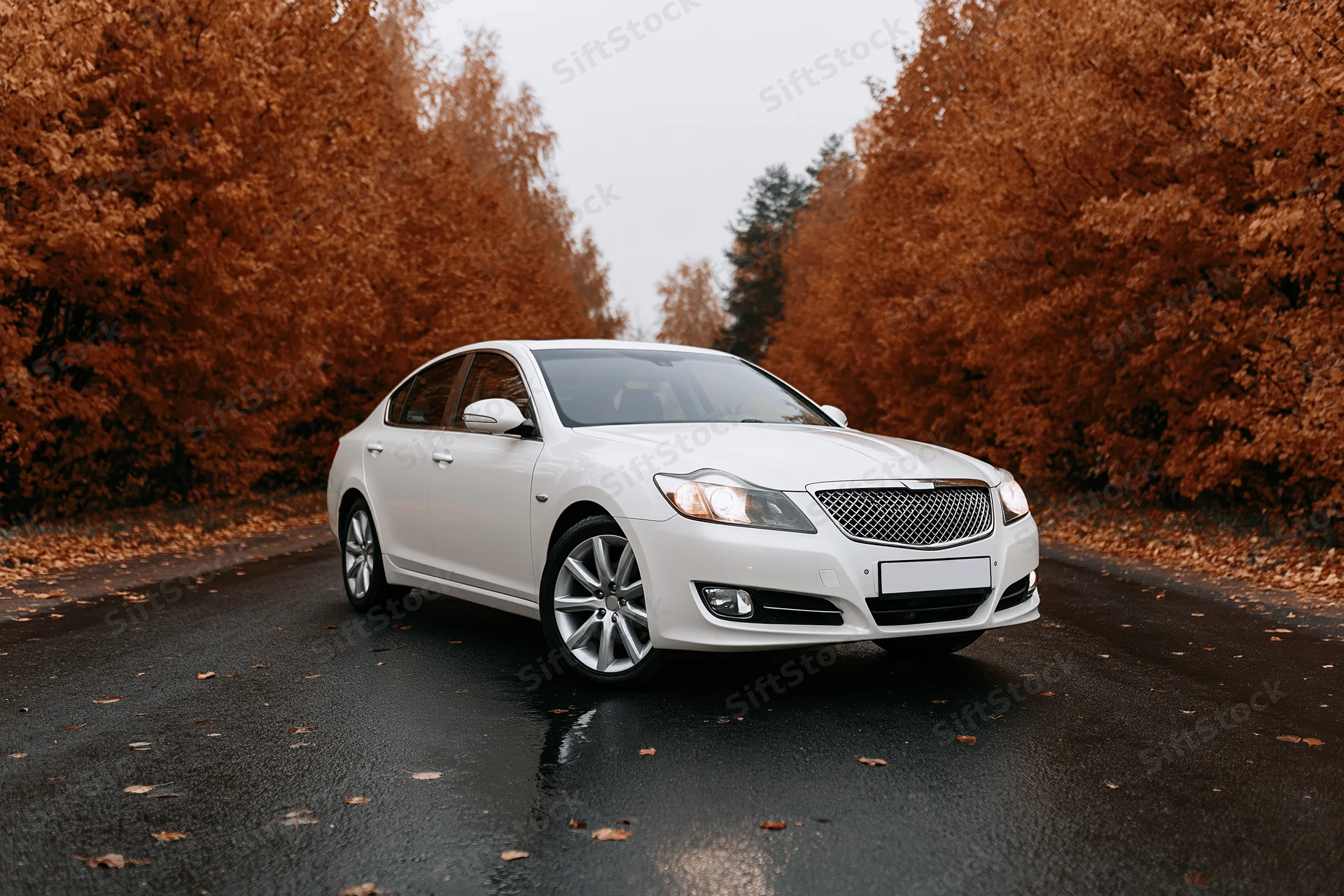 White luxury sedan parked on wet asphalt road with headlights on surrounded by autumn trees