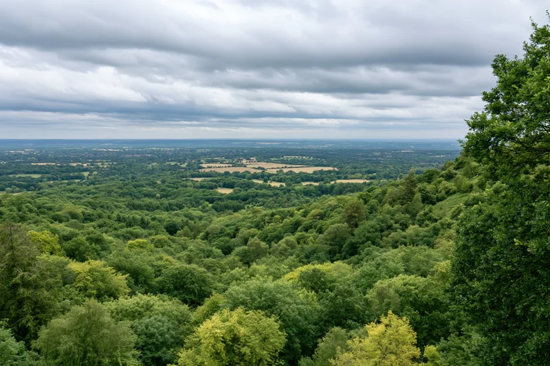 Wide view from a hilltop overlooking a dense green forest and rolling countryside under cloudy sky
