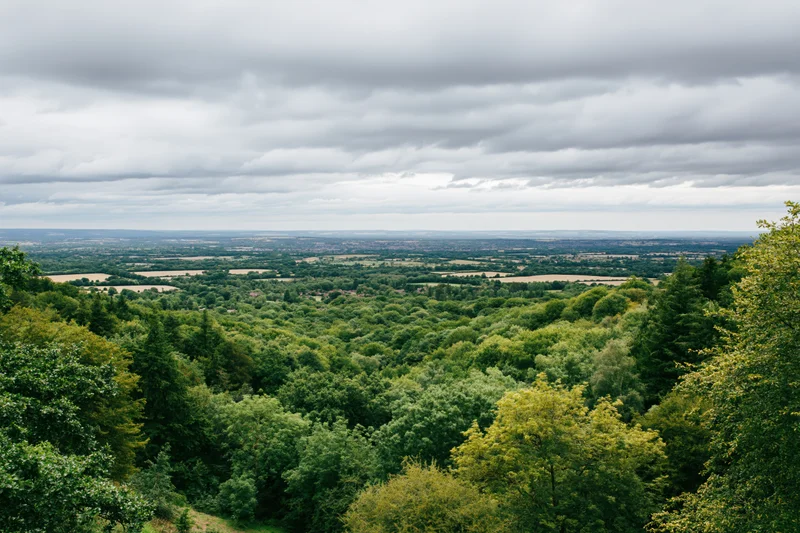 Wide view from a hillside overlooking a green forested valley and rural fields under an overcast sky