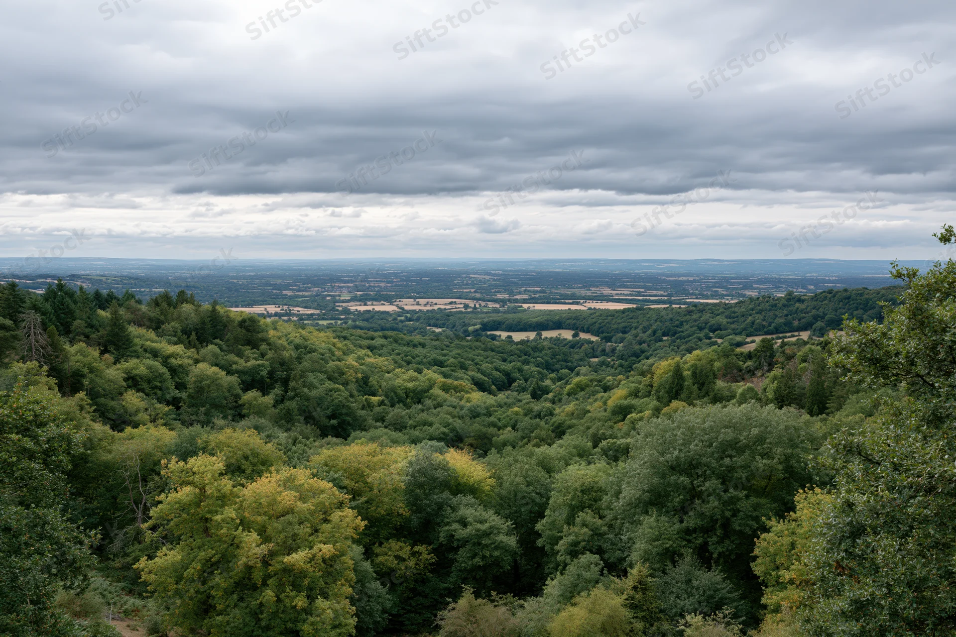 Wide view from a hillside overlooking a green forested valley and countryside
