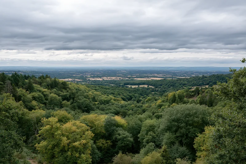 Wide view from a hillside overlooking a green forested valley and countryside