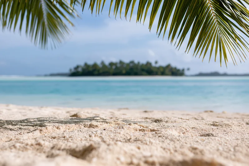 Close-up of sandy beach under palm fronds with distant tropical island across turquoise water