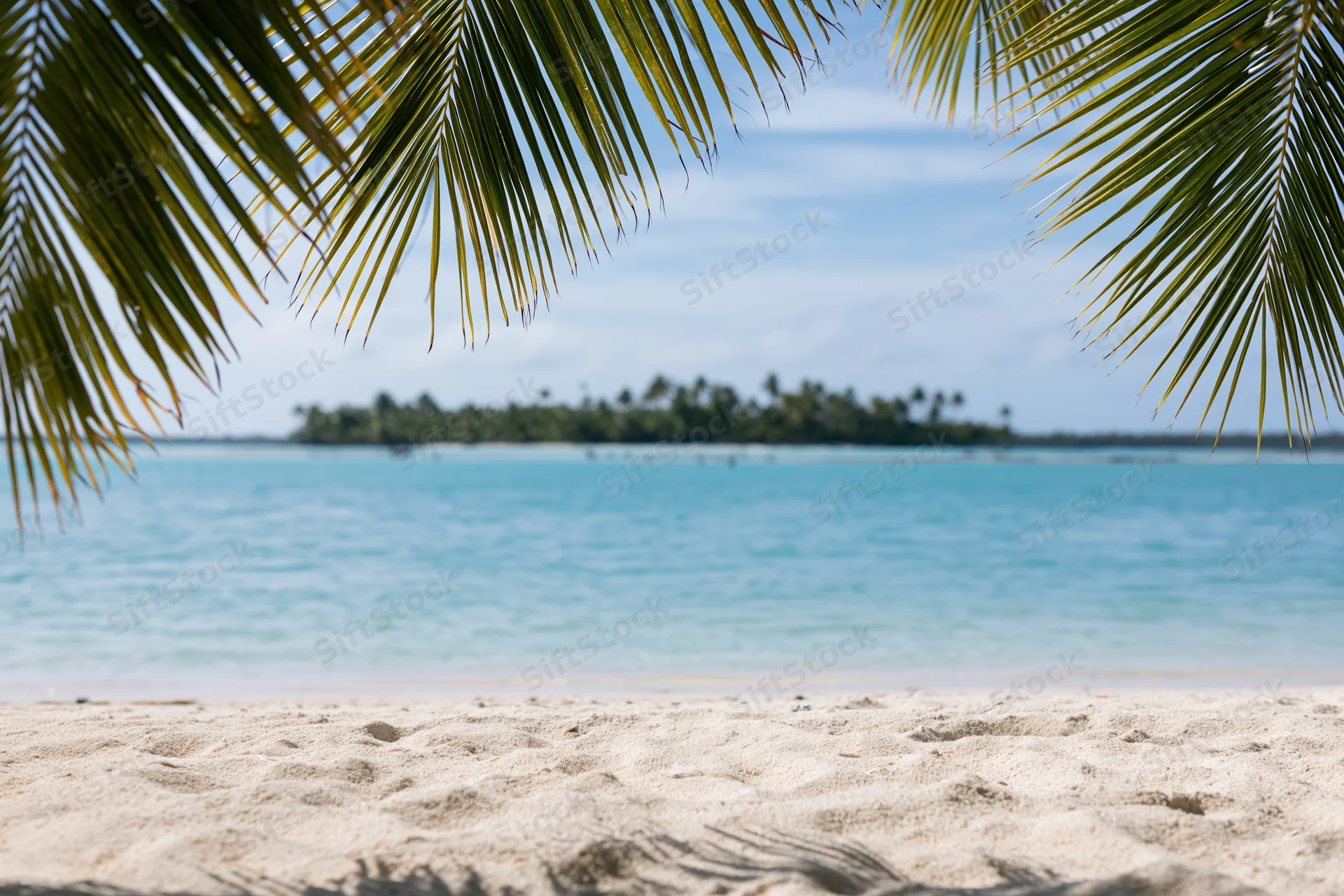 Sandy beach framed by palm fronds overlooking turquoise ocean and distant tropical island