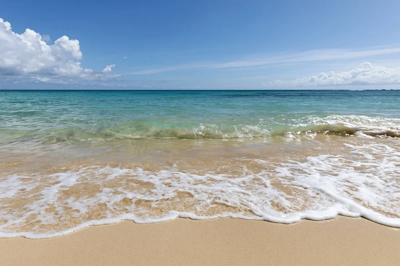 Gentle waves rolling onto a sandy beach under a clear blue sky