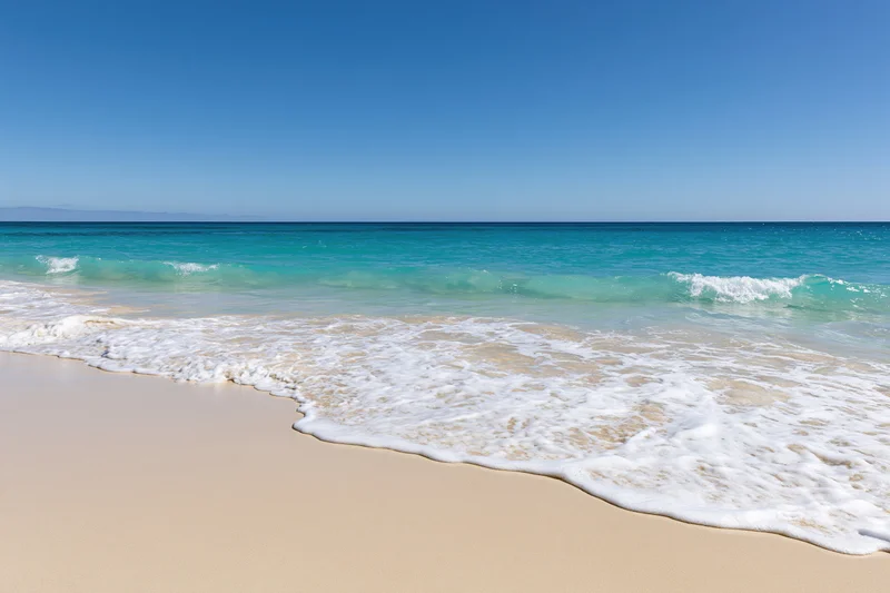 Gentle waves rolling onto a sandy beach under a clear blue sky