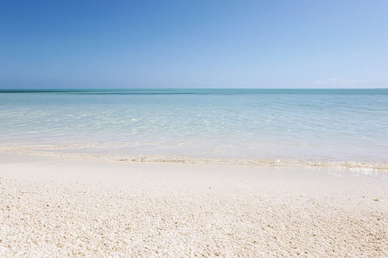 White sandy beach meeting calm turquoise ocean under clear blue sky