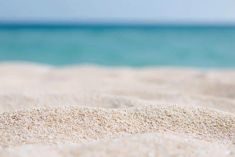 Closeup of fine sand grains on a beach with ocean in the background