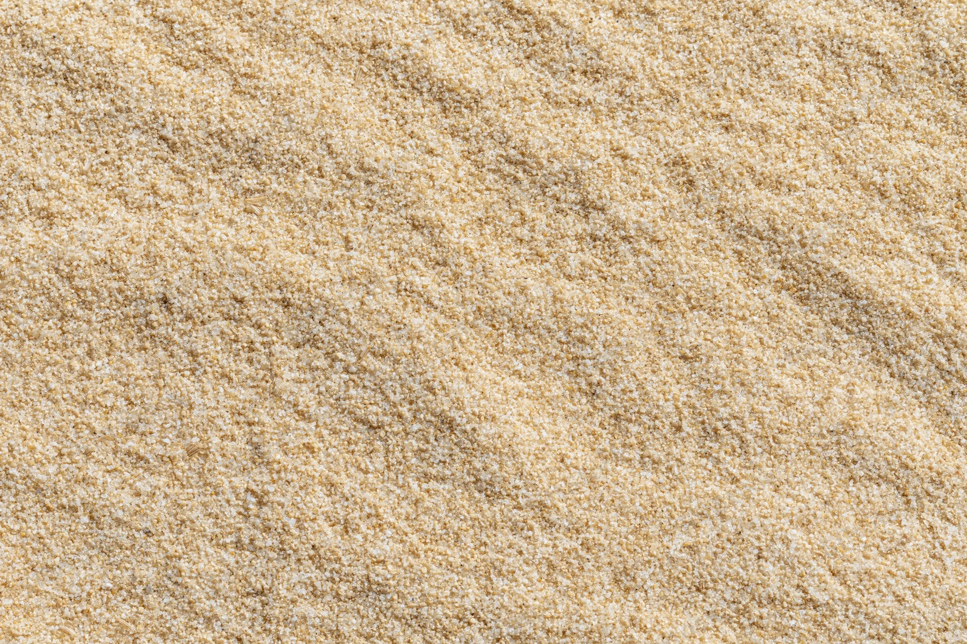 Closeup of sandy surface showing fine granular texture and natural beige coloration
