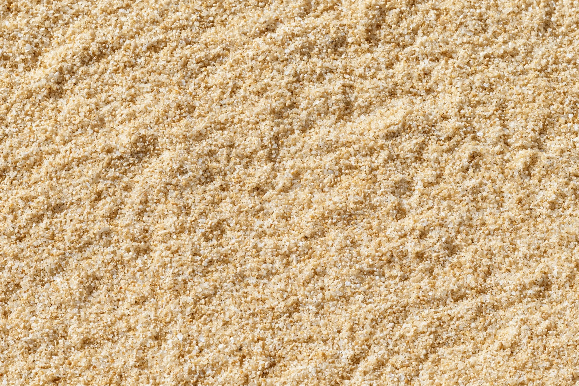 Close-up of fine sand texture covering the entire frame